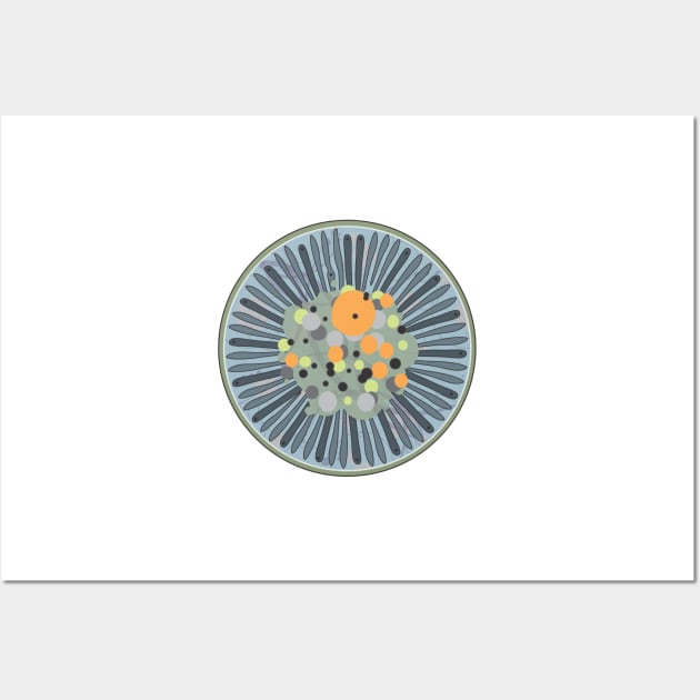 Diatom - Lindavia comensis (artwork) Wall Art by DiatomsATTACK